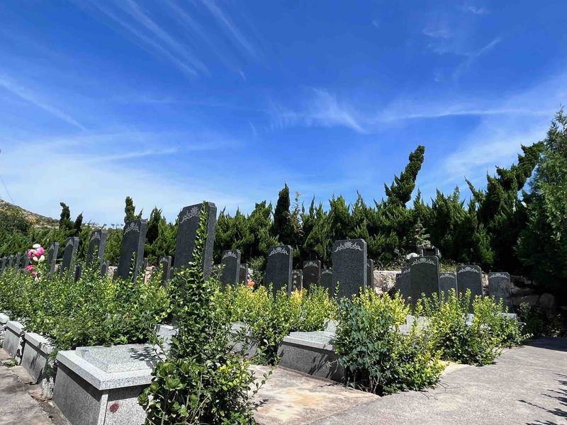 園區(qū)景觀(guān)